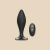 Plug Anal com Vibro e Controle Remoto