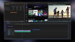 Adobe Premiere Pro 2025 + Licencia permanente en internet