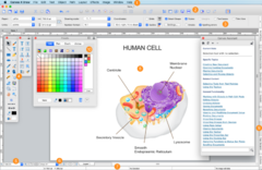 Canvas X Draw - Software de diseño gráfico en internet