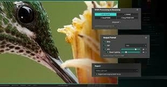 PureRAW 4
