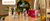 Imagem do banner rotativo 4