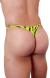 TANGA JUNGLE en internet