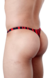 TANGA DIAVOLO en internet