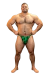 SLIP IRISH