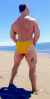 ZUNGA CARIBE AMARILLO en internet