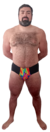 BRIEF CARNIVAL