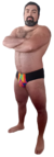 BRIEF CARNIVAL - comprar online