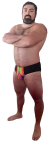 BRIEF CARNIVAL - comprar online
