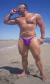 ZUNGA CARIBE MORADO - comprar online