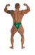 ZUNGA FLX EMERALD - DADDY's