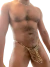 TANGA LEOPARD