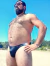 ZUNGA CUBBY BEAR en internet