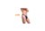 Carrusel 2