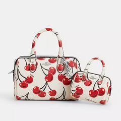 Imagen de *PREORDEN* Coach Variedad de Charms Cherry y San Valentín