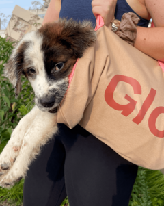 *PREORDEN* Glossier Duffle Bag - tienda en línea