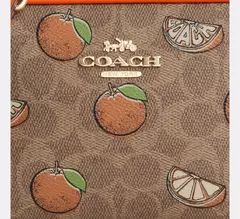 Imagen de *PREORDEN* Coach Mini Jamie Camera Bag With Orange Print