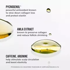 *PREORDEN* COLOR WOW Youth Juice Collagen Scalp Serum Hair - comprar en línea