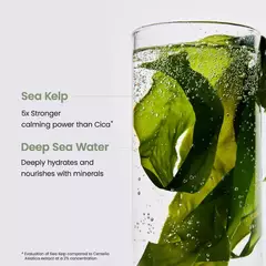 *PREORDEN* Biodance Refreshing Sea Kelp Real Deep Mask 4 pack