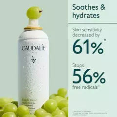 *PREORDEN* Caudalie Grape Water Moisturizing Face Mist - tienda en línea