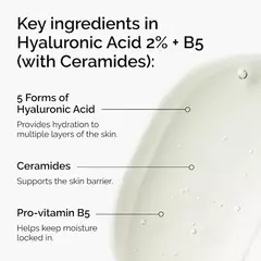 *PREORDEN* The Ordinary The Skin Support Set with Niacinamide + Hyaluronic Acid