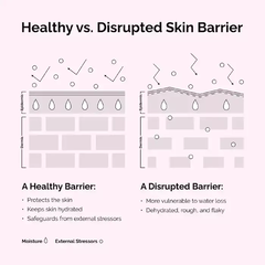*PREORDEN* The Ordinary Soothing & Barrier Support Serum - tienda en línea