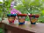 Conjunto 3 vasos cerâmicos - Menina Flor - comprar online