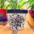 Vaso Cerâmico Grande - Preto e Branco - comprar online