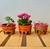 Conjunto 3 vasos cerâmicos - palavras do bem - comprar online