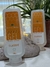 2 unidades ApisGel by VitalBee™ Apitoxina en Gel 150gr. - comprar online