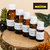 Lacost Blanc - comprar online