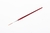Pincel Casan Serie 9746
