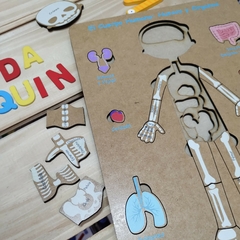 ROMPECABEZAS CUERPO HUMANO 3 NIVELES - TIENDA ARLEQUIN 