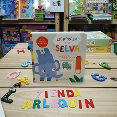 LIBRO SORPRESA