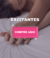 Banner de Essência Shopp