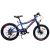Bicicleta de niño Raleigh Rowdy 7 velocidades rodado 20