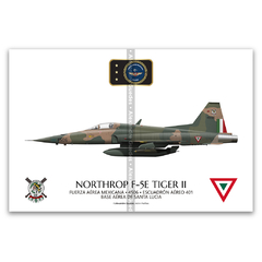 Northrop F-5E Tiger II, Fuerza Aérea Mexicana, 4506, Escuadrón Aéreo 401 - comprar online