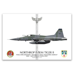 Northrop F-5EM Tiger II, FAB 4851, 1º GAVCA