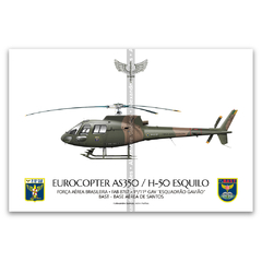 Helibrás HB-350B Esquilo / H-50, FAB 8767, 1º/11º GAV - Esquadrão Gavião