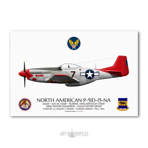 Poster P-51D Mustang | O Lendário "Red Tail" dos Tuskegee Airmen - comprar online