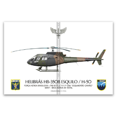 Helibrás HB-350B Esquilo / H-50, FAB 8771, 1º/11º GAV - Esquadrão Gavião
