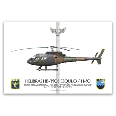Helibrás HB-350B Esquilo / H-50, FAB 8771, 1º/11º GAV - Esquadrão Gavião