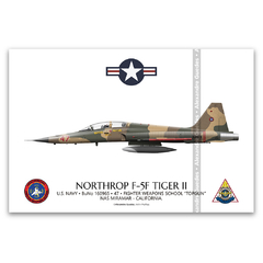 NORTHROP F-5F TIGER II, U.S. NAVY, BuNo 160965, 47, FWS "TOPGUN"