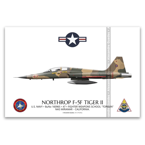 NORTHROP F-5F TIGER II, U.S. NAVY, BuNo 160965, 47, FWS "TOPGUN"