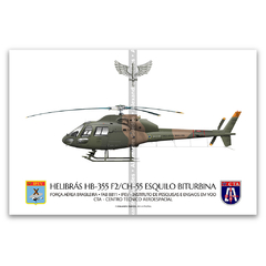 Helibrás HB-355 F2 Esquilo Biturbina/ HC-55, FAB 8811, IPEV, CTA