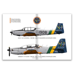 AFA 80 Anos, T-25 e T-27 com pintura comemorativa.