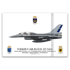 FOKKER F-16B BLOCK 20 MLU - FACH 732