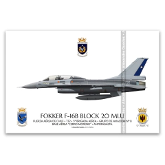 FOKKER F-16B BLOCK 20 MLU - FACH 732