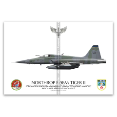 Northrop F-5EM Tiger II, FAB 4866, 1º GAVCA