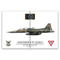 Northrop F-5F Tiger II, Fuerza Aérea Mexicana, 4501, Escuadrón Aéreo 401 - comprar online