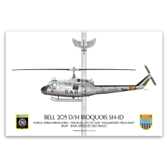Bell 205 D/H Iroquois SH-1D, FAB 8530, 2º/10º GAV - Esquadrão Pelicano